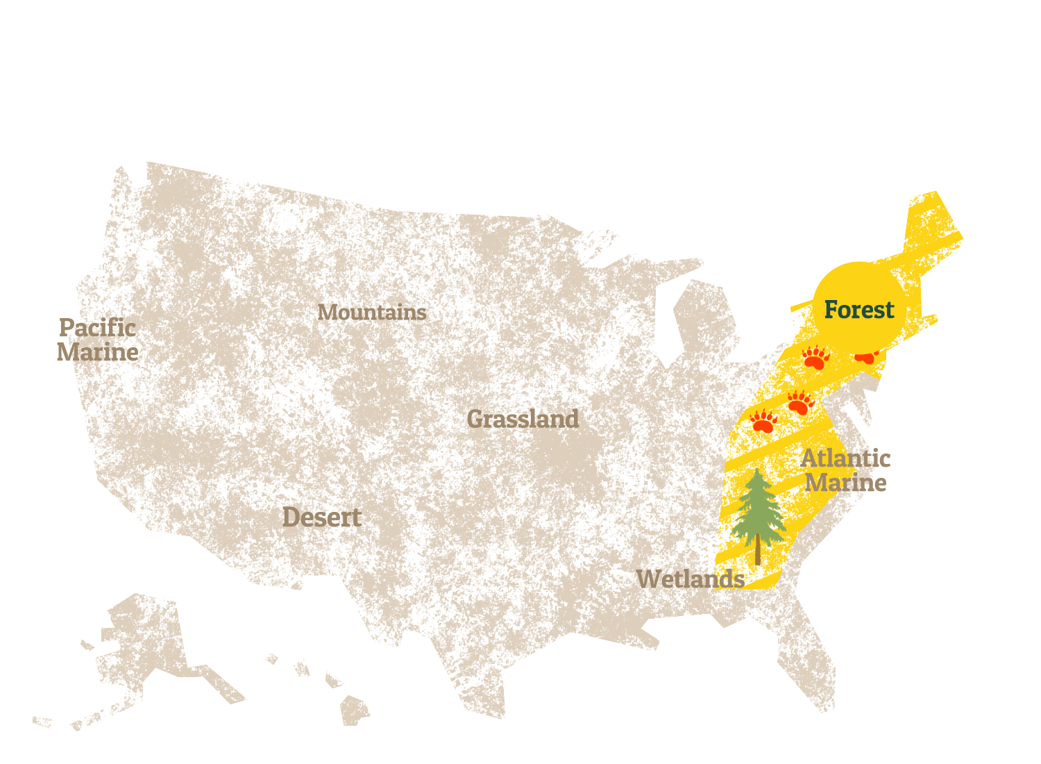 A graphic map of the United States, highlighting the Forest.