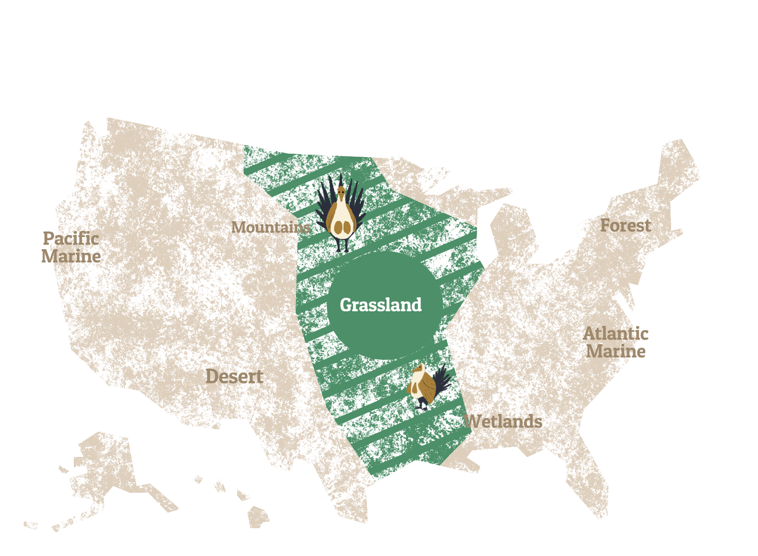 A graphic map of the United States, highlighting the Grassland.