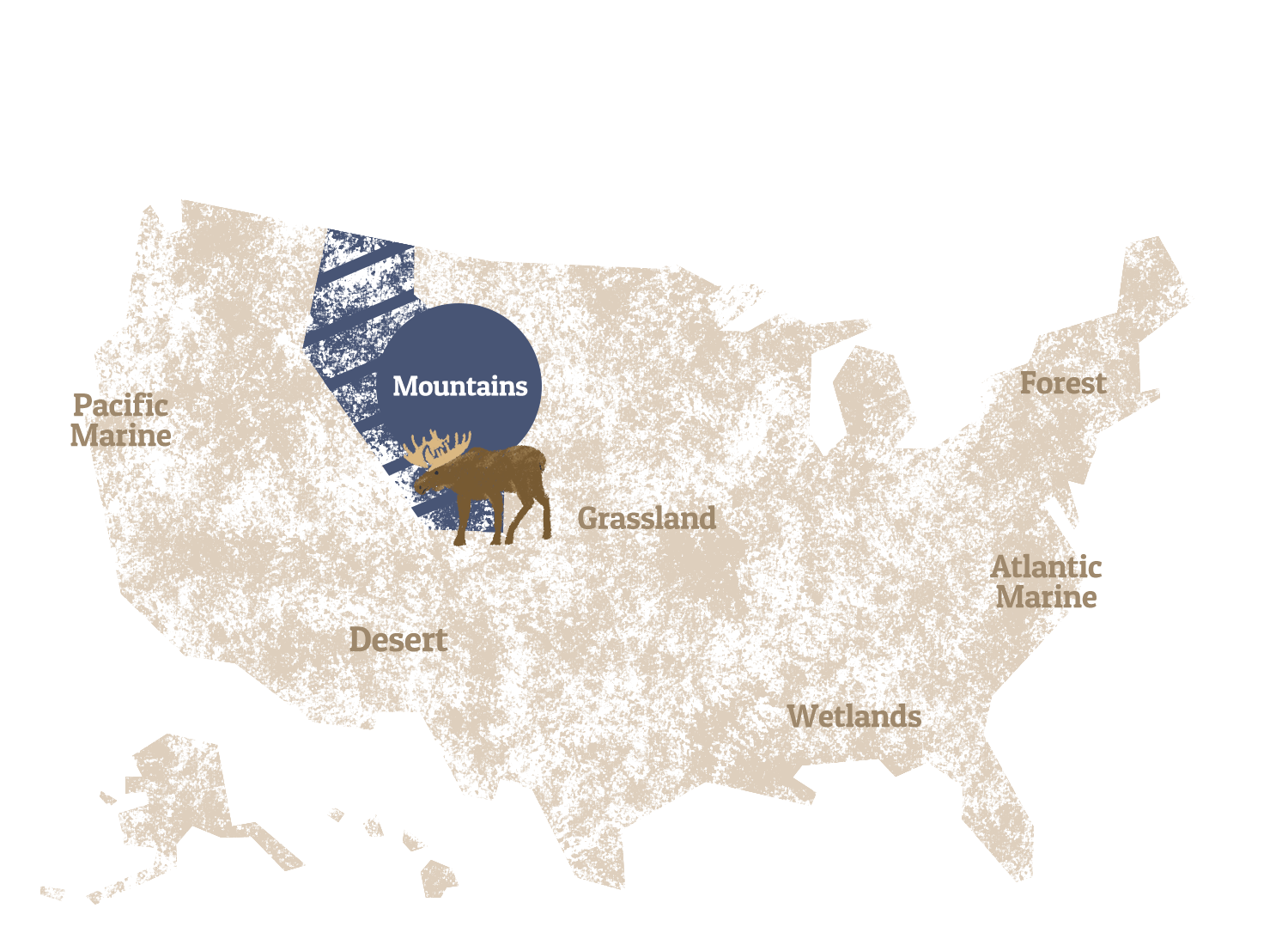 A graphic map of the United States, highlighting the Mountains.