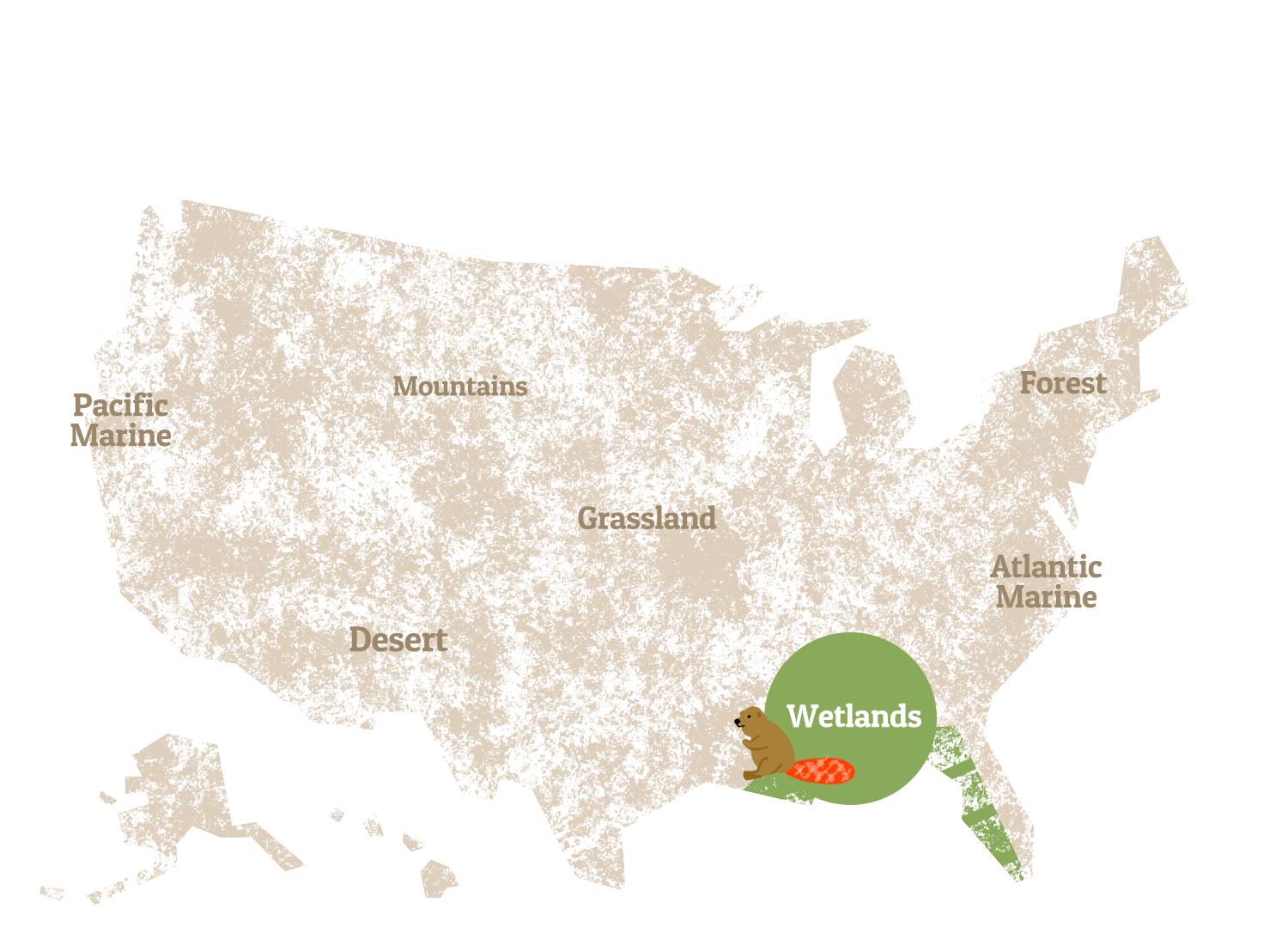 A graphic map of the United States, highlighting the Wetlands.
