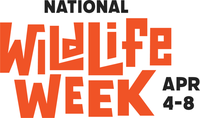 National Wildlife Week