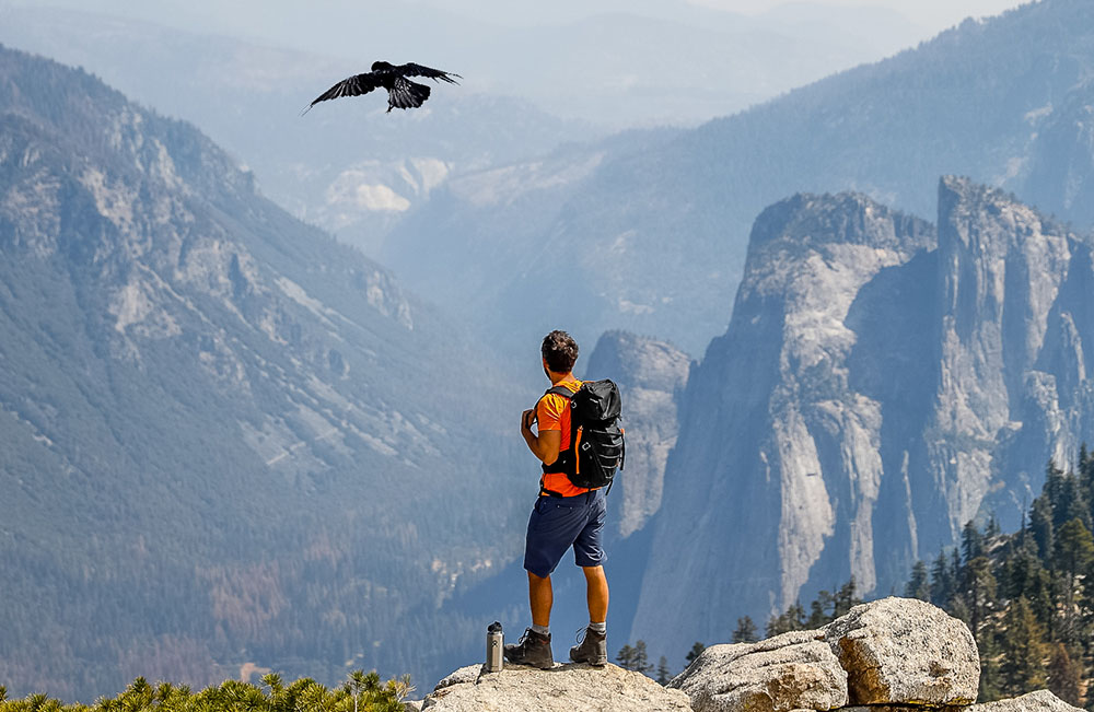 Man Looking At Bird While Standing Against Mountains