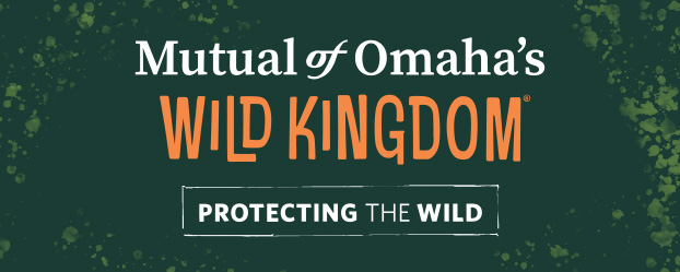 Mutual of Omaha's Wild Kingdom: Protecting the Wild.