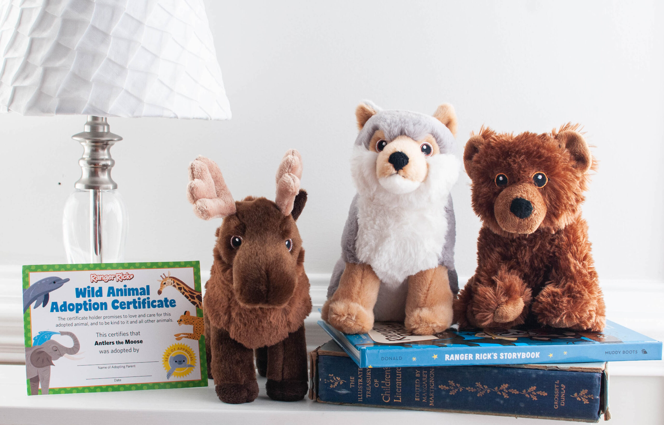 Stuffed animals of a wolf, bear, and moose on a bookcase, next to a Wild Animal Adoption Certificate.