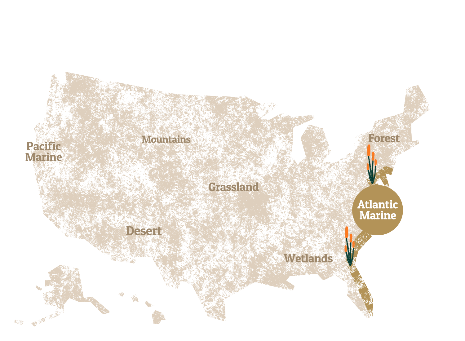 A graphic map of the United States, highlighting the Atlantic Marine.