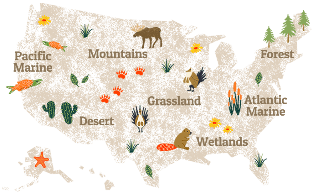 A preview of the interactive map graphic of the United States, highlighting the Atlantic Marine, Forest, Wetlands, Grassland, Mountains, Desert, and Pacific Marine.