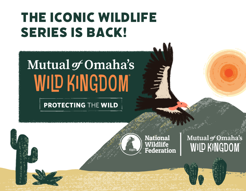 The iconic wildlife series is back! Mutual of Omaha's Wild Kingdom, Protecting the Wild.